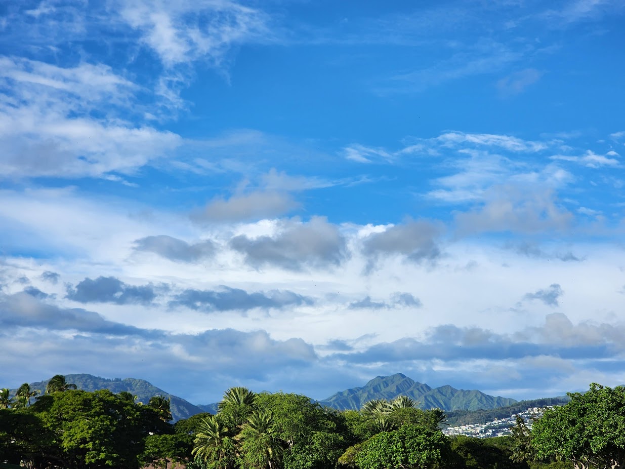 An example of my photography or a related hobby image